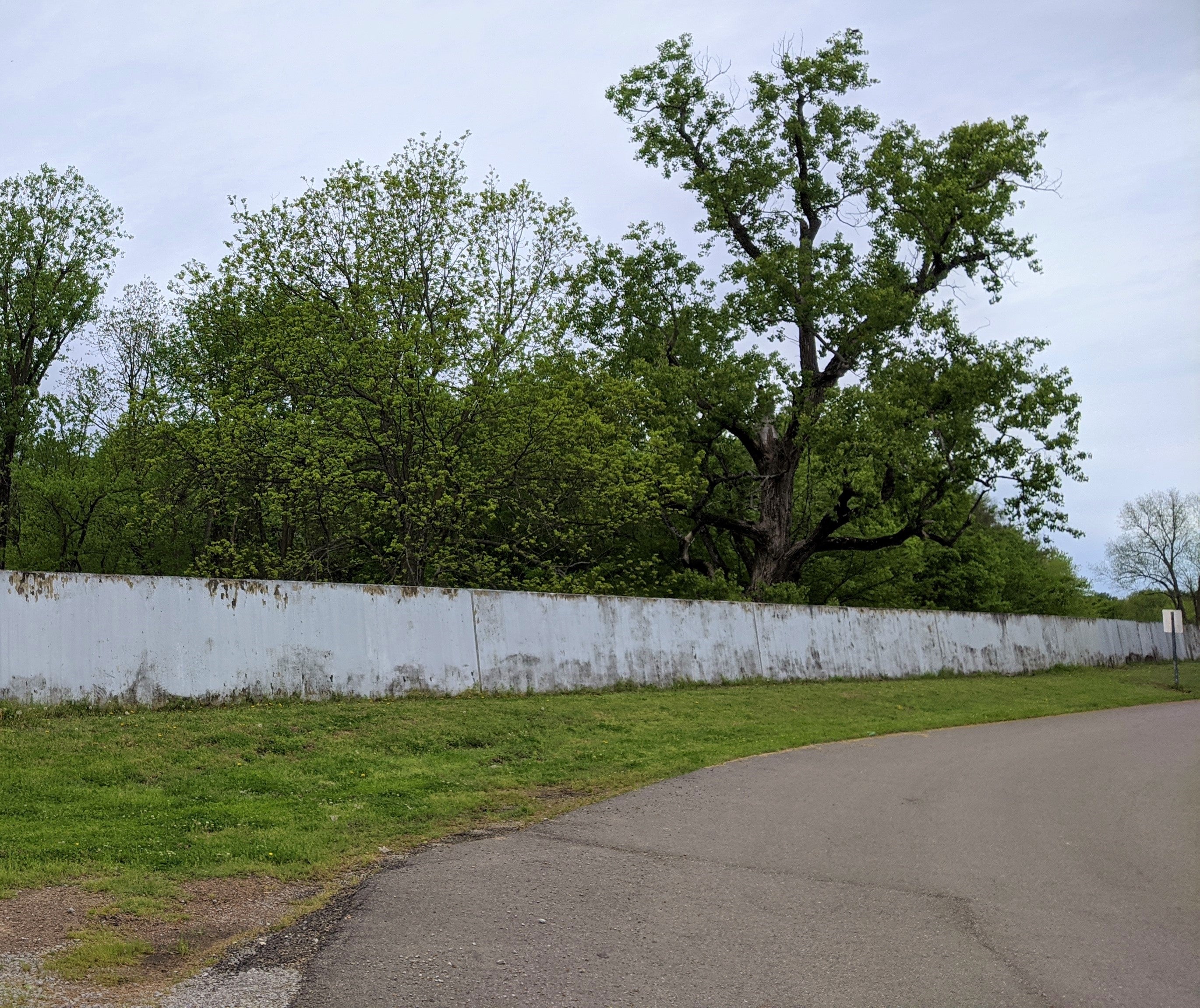 a white-painted concrete wall with treetops visible behind it